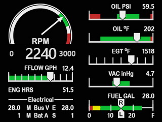 MSFS_C172_EIS_JPG_resize