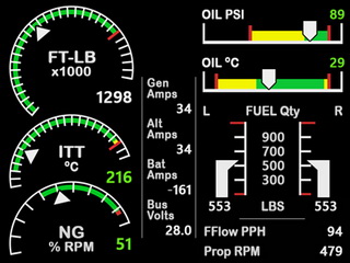 MSFS_C208B_EIS_JPG_resize